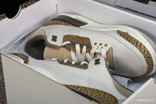 Retro Jordan  3  CT8532-102 Palomino CT8532-102 0925